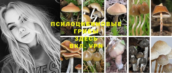 a pvp Балабаново